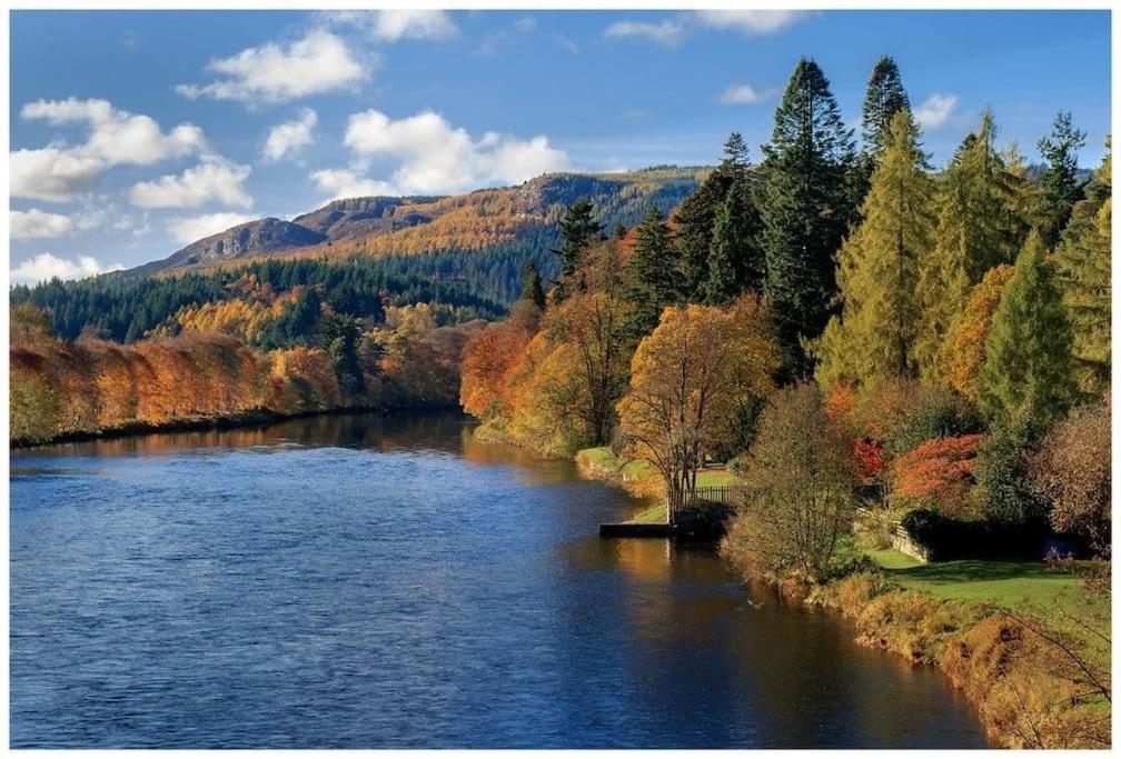 Pinewood Cotage - Country Walks And Relaxation Villa Blairgowrie and Rattray Eksteriør billede